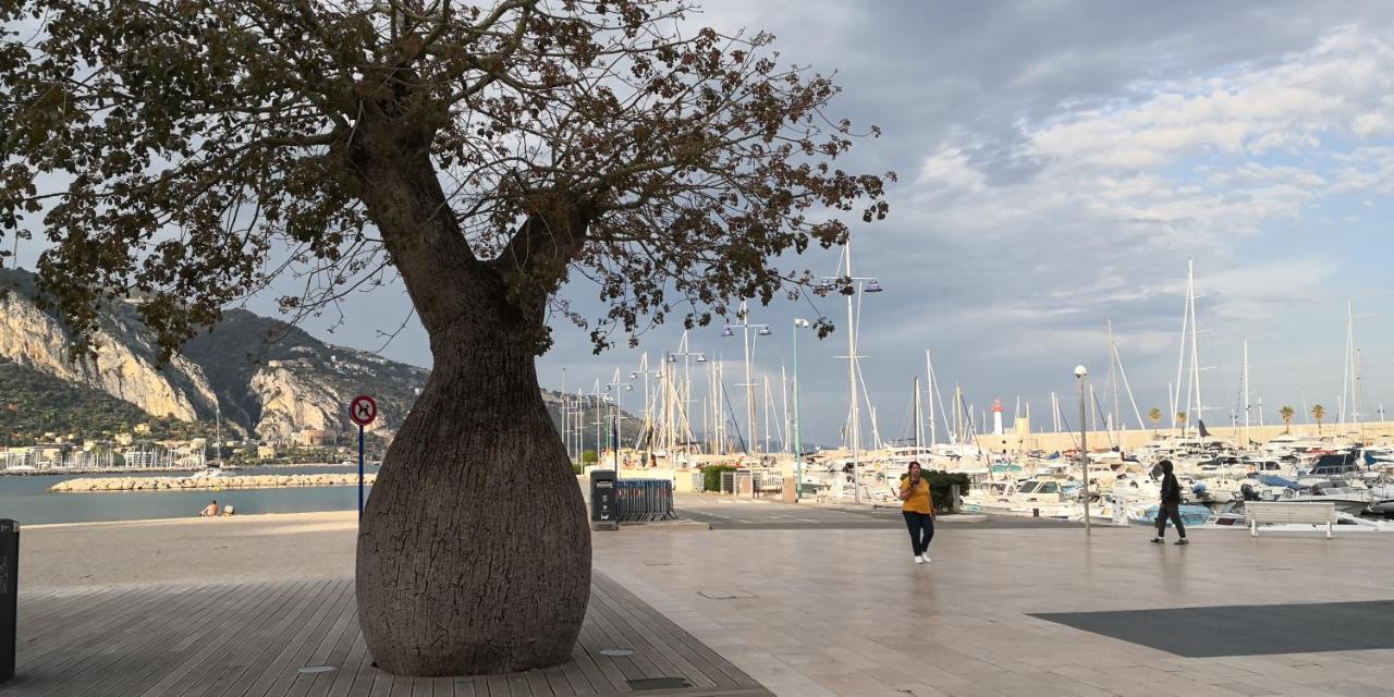 Joli Studio Dans Le Coeur De Menton Bagian luar foto